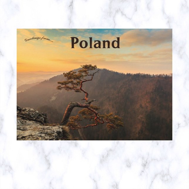 Postal Un árbol en una Polonia pensativa (Subido por el creador)