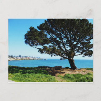 Postal Un árbol para todas las estaciones