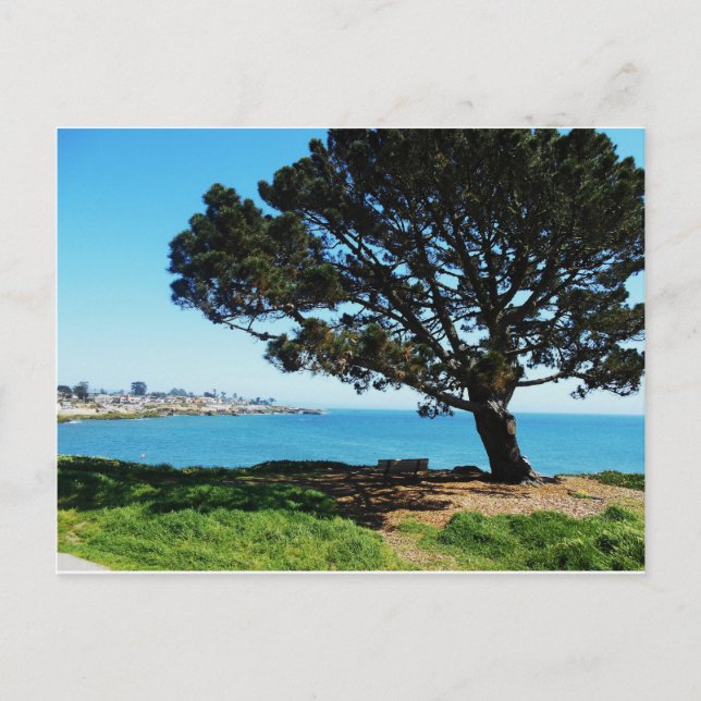 Postal Un árbol para todas las estaciones (Anverso)