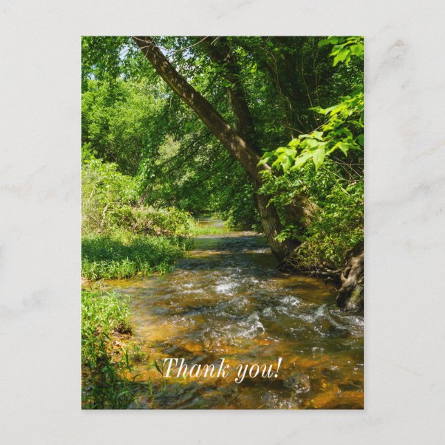 Postal Un arroyo del país (Anverso)