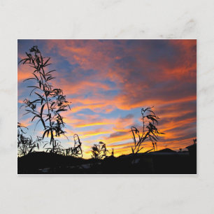 Postal Un atardecer de Arizona