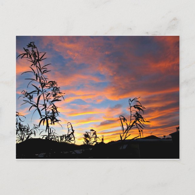 Postal Un atardecer de Arizona (Anverso)