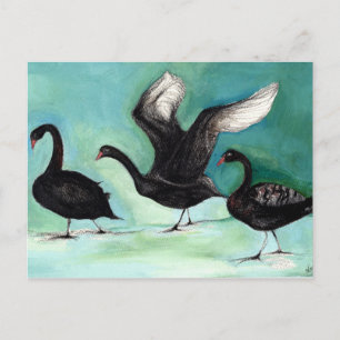 Postal Un ballet de los cisnes negros 2013