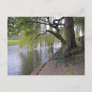 Postal Un banco junto al río Cam Postcard
