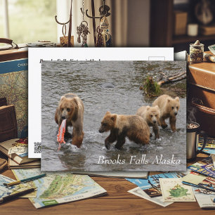 Postal Un banquete raro en Brooks Falls
