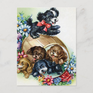 Postal Un barril de cachorros