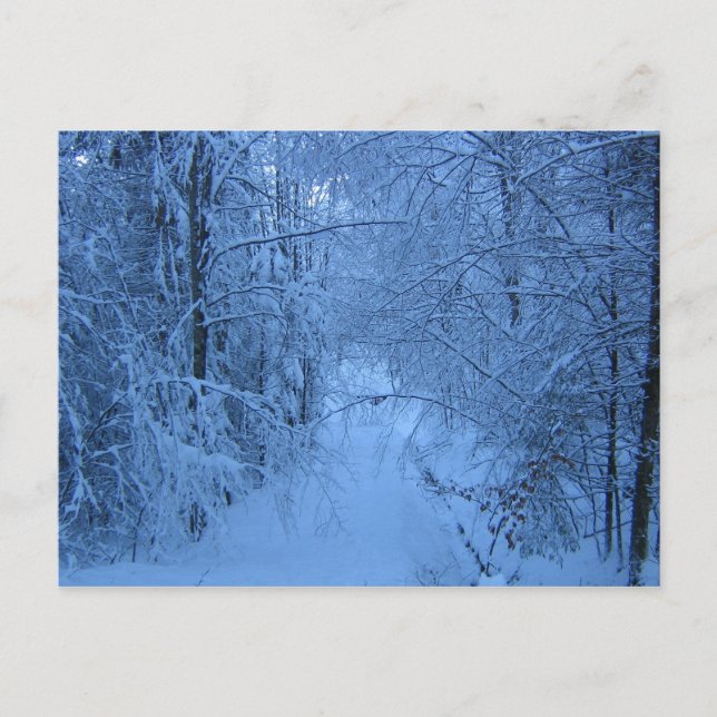 Postal Un bosque en invierno (Anverso)