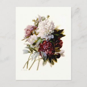 Postal Un Bouquet de Peonies por Pierre-Joseph Redouté