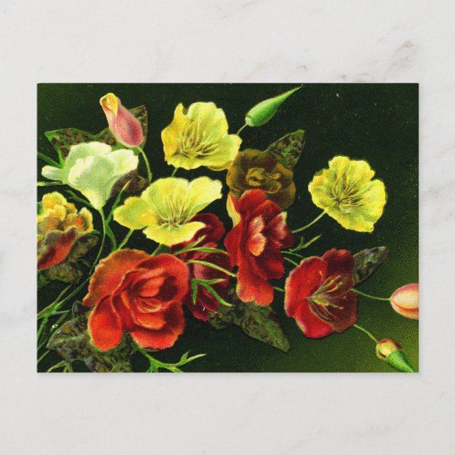 Postal ¡Un Bouquet para todas las temporadas! (Anverso)