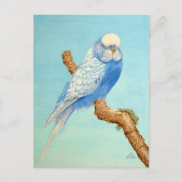 Postal Un Budgie encaramado en una rama