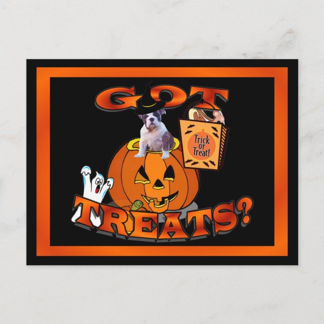 Postal Un Bulldog muy lindo buscando en la calabaza (Anverso)