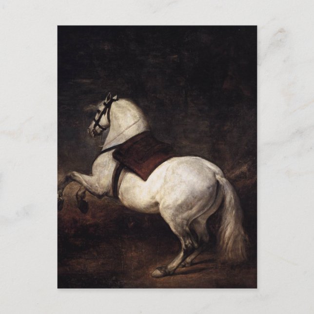 Postal Un caballo blanco por Diego Velázquez (Anverso)