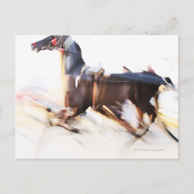 Postal Un caballo corriendo a alta velocidad compite en (Anverso)
