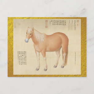 Postal Un caballo llamado Bella Artes Hongyuzuo