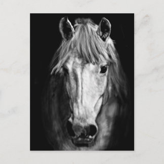 Postal Un caballo llamado Elvis