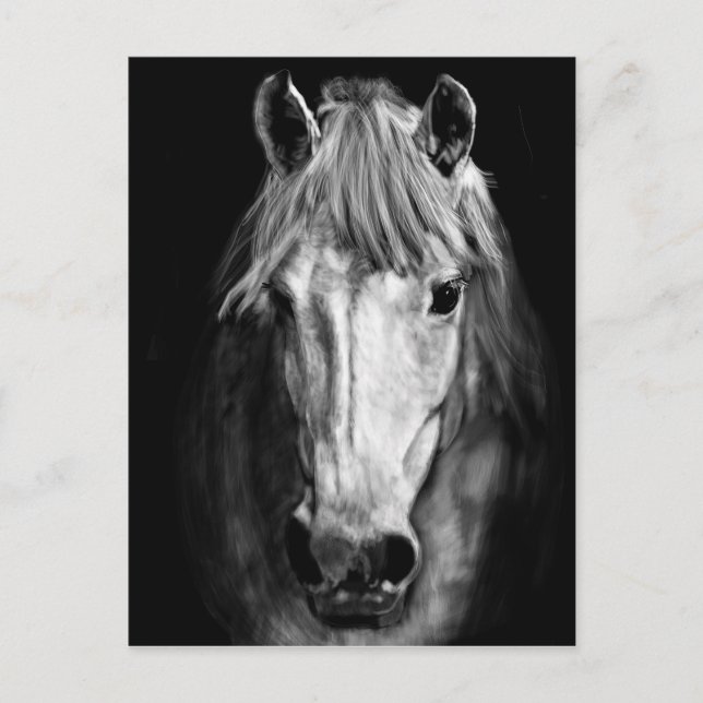 Postal Un caballo llamado Elvis (Anverso)