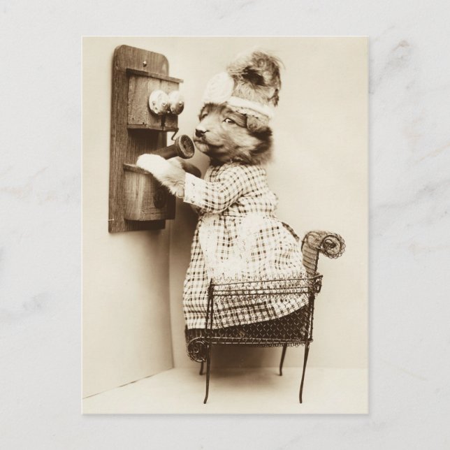 Postal Un cachorro lindo en un vestido hablando por teléf (Anverso)