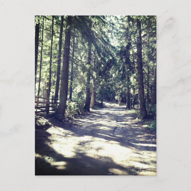 Postal Un camino a través del bosque (Anverso)