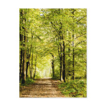 Un camino cubierto de hojas en un bosque mágico