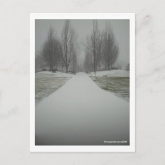 Postal Un camino de invierno......