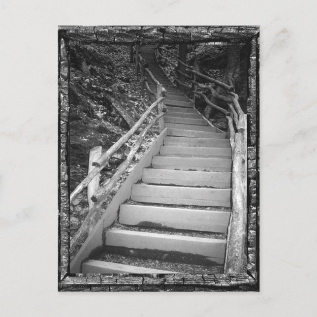 Postal Un camino oscuro (Anverso)