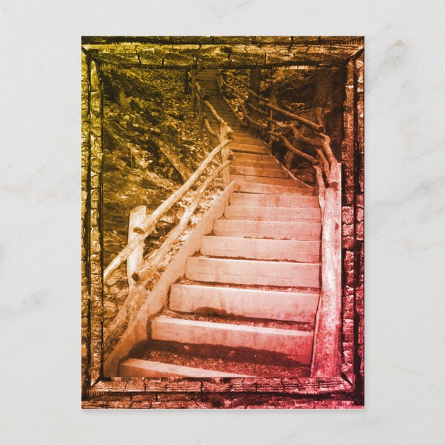 Postal Un camino oscuro (Anverso)