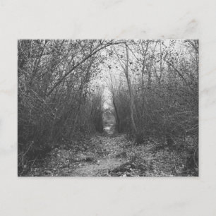 POSTAL "UN CAMINO OSCURO POR DELANTE"