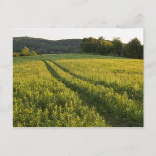 Postal Un camino rural en Sabins Pasture en Montpelier,