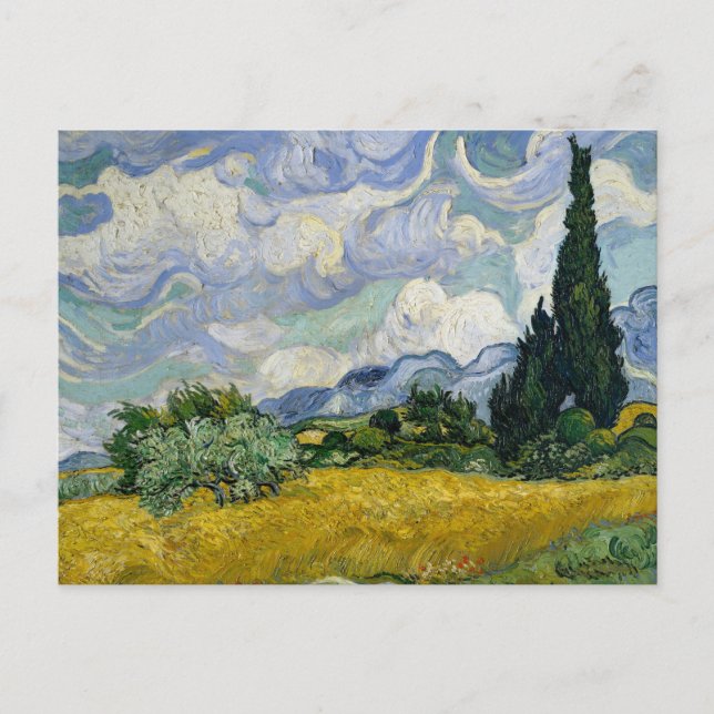 Postal Un campo de batalla con cipreses Van Gogh (Anverso)