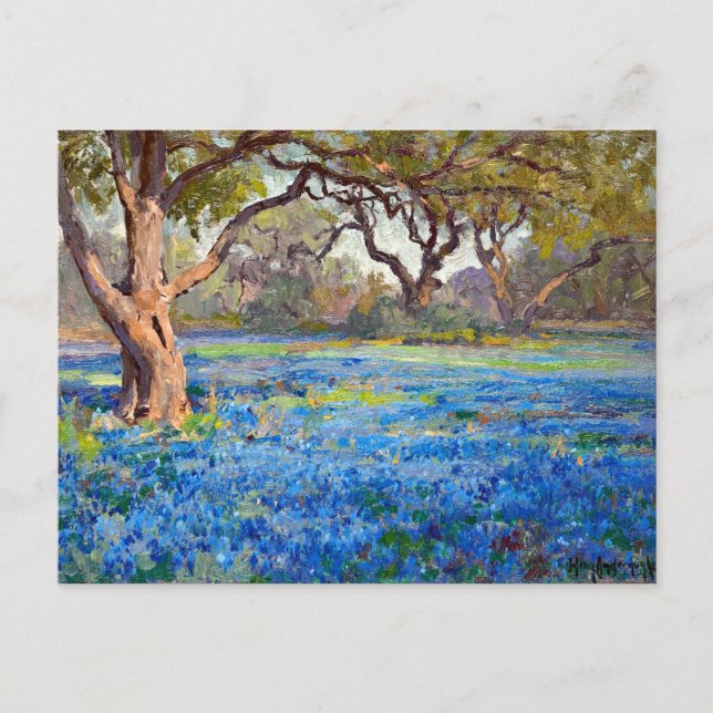 Postal Un campo de Bluebonnets en Alamo Heights, 1919 (Anverso)