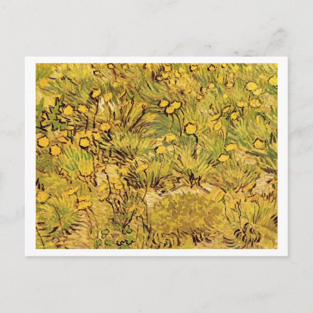 Postal Un campo de flores amarillas, Vincent van Gogh (Anverso)
