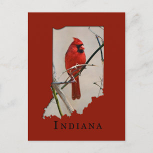 Postal Un cardenal dentro de la forma de Indiana