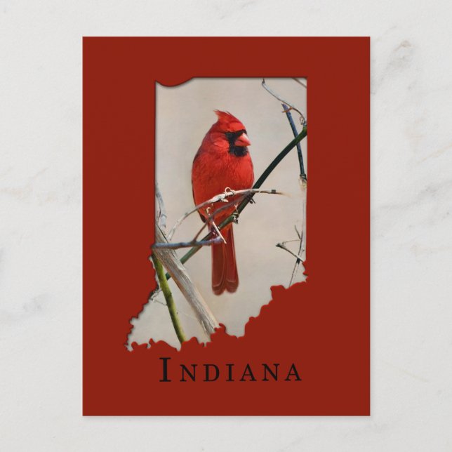 Postal Un cardenal dentro de la forma de Indiana (Anverso)