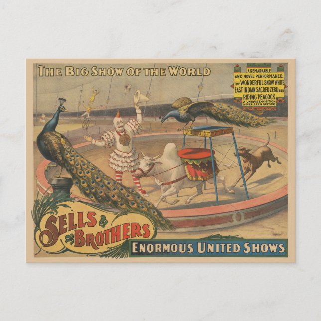 Postal Un Cebú Y Un Pavo Real Con Entrenador De Payasos (Anverso)