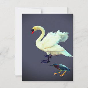 Postal Un cisne y una garza azul