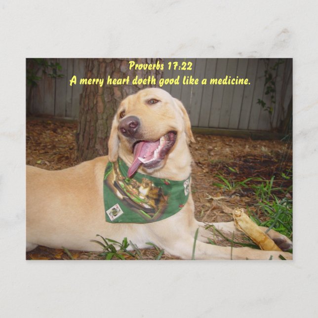 Postal Un corazón alegre hace bien como una medicina. (Anverso)