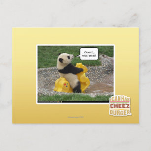 Postal ¡Un cordero noble!