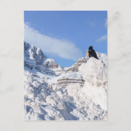 Postal Un cuervo en Crowfoot Mountain Alberta Canada