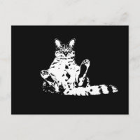 Un curioso gato gruñón con patas