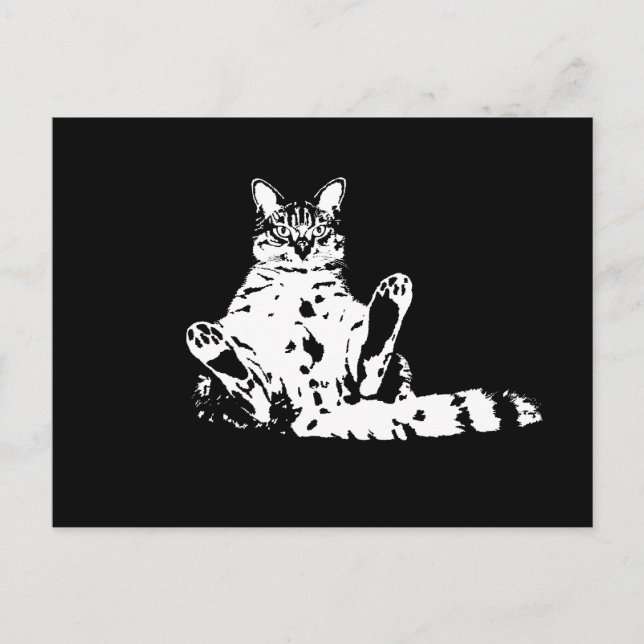 Postal Un curioso gato gruñón con patas (Anverso)