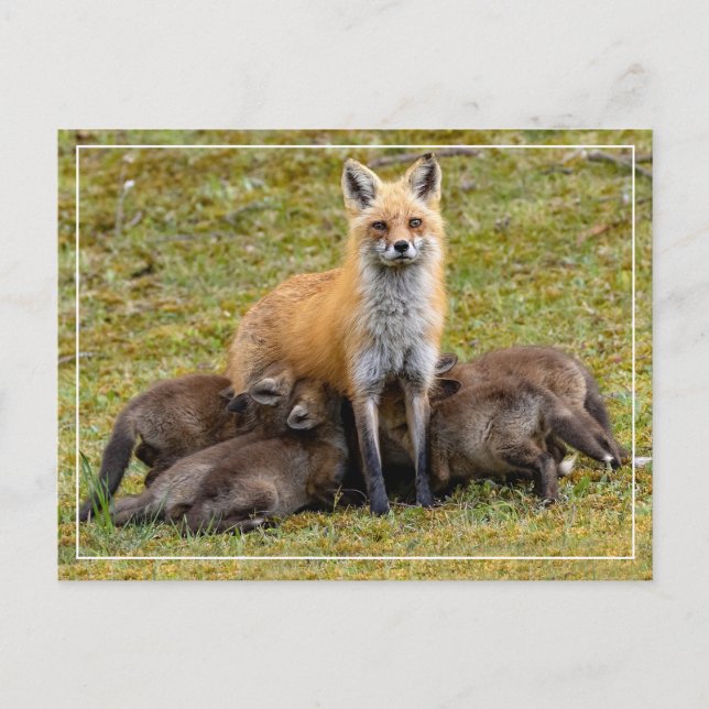 Postal Un día de mamá (Anverso)