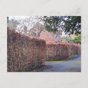 Postal Un día de otoño