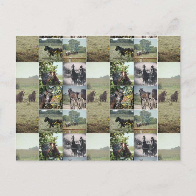 Postal Un día en Kalona, Iowa (Anverso)