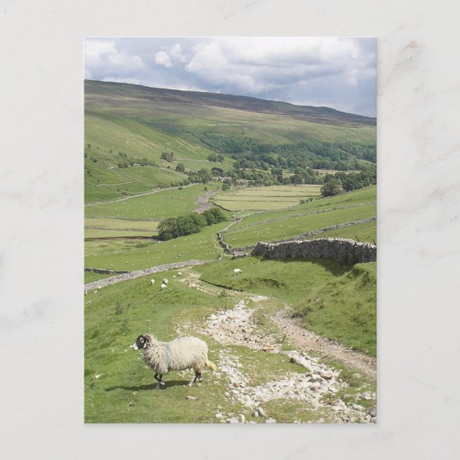 Postal Un día en la colección Yorkshire Dales (Anverso)