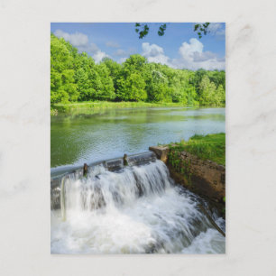 Postal Un día en Ritter Springs