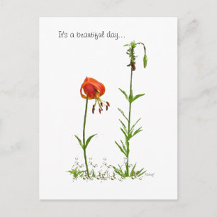 Postal Un Día Hermoso...