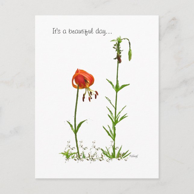 Postal Un Día Hermoso... (Anverso)
