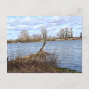 Postal Un día soleado en el río