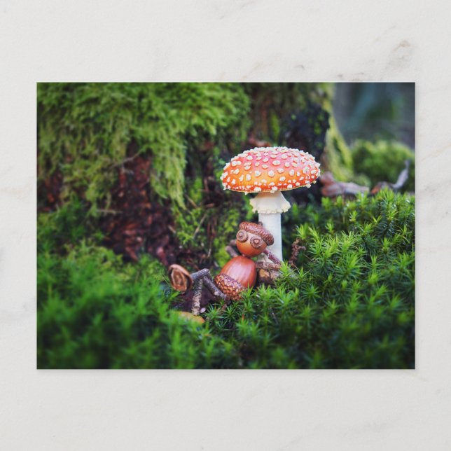 Postal Un elfo de bellota descansa bajo un hongo (Anverso)
