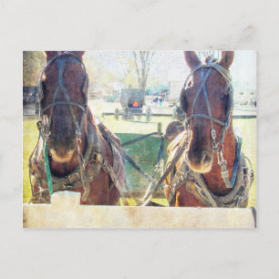 Postal Un equipo de dos caballos